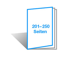 201-250 Seiten