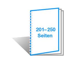 201-250 Seiten